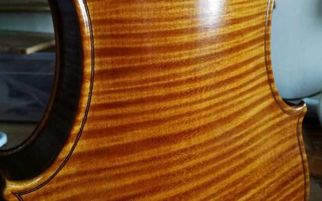 fine italian violin maple